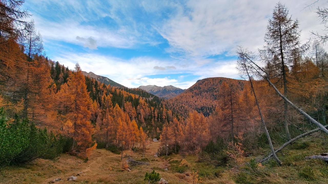 Апартаменты Berglebnis Тауплиц Экстерьер фото